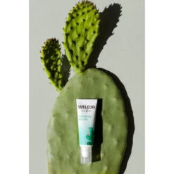 Weleda Ooggel Vijgencactus Hydraterend -Verzorging Voordeel Winkel 1011832 3