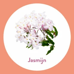 6x Dettol Handzeep Antibacterieel Jasmijn -Verzorging Voordeel Winkel 1014563 3