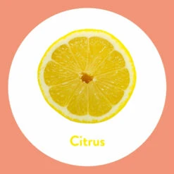 6x Dettol Handzeep Antibacterieel Navulling Citrus 9 6x Dettol Handzeep Antibacterieel Navulling Citrus -Verzorging Voordeel Winkel 1014569 4