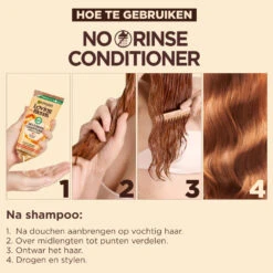 6x Garnier Loving Blends No Rinse Conditioner Milde Haver -Verzorging Voordeel Winkel 1035540 3