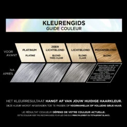 L'Oreal Lu0027Oréal Preference Vivids Haarkleuring 10.112 Silver Grey -Verzorging Voordeel Winkel 1035553 2