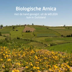 Weleda Massageolie Arnica Sport -Verzorging Voordeel Winkel 133019 4